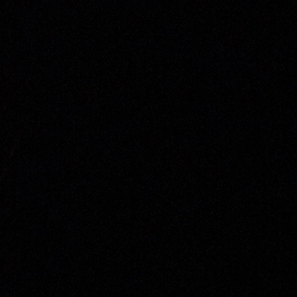 Meet your Posher, Sadie - Picture 1 of 1